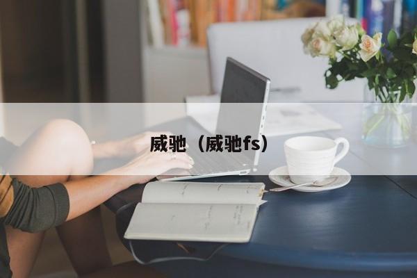 威驰（威驰fs）