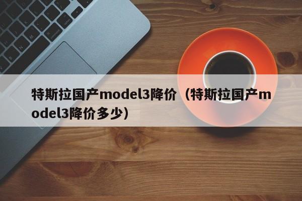 特斯拉国产model3降价（特斯拉国产model3降价多少）