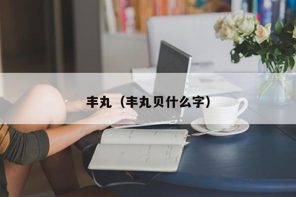 丰丸（丰丸贝什么字）
