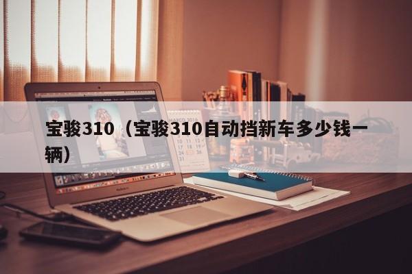宝骏310（宝骏310自动挡新车多少钱一辆）