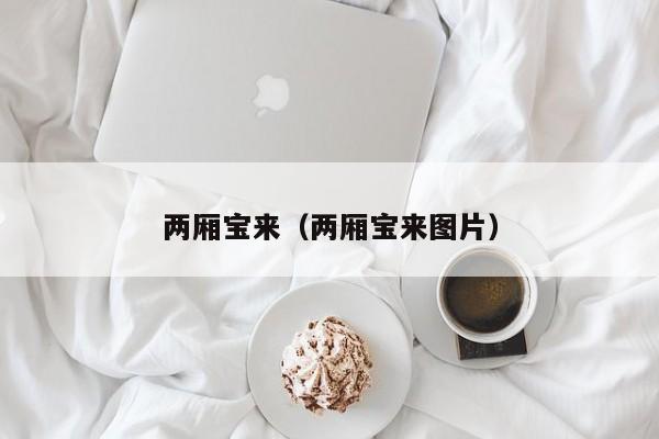 两厢宝来（两厢宝来图片）