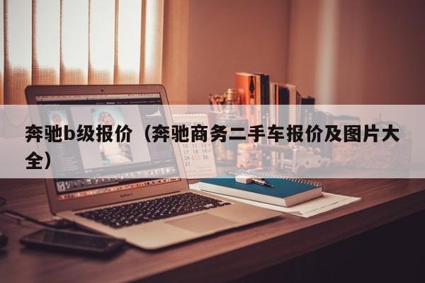 奔驰b级报价（奔驰商务二手车报价及图片大全）