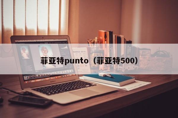 菲亚特punto（菲亚特500）