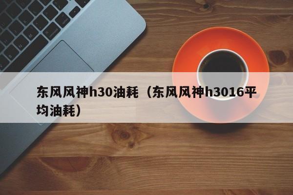 东风风神h30油耗（东风风神h3016平均油耗）