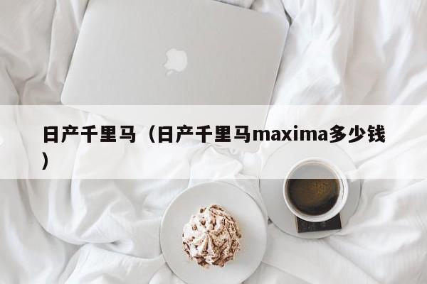 日产千里马（日产千里马maxima多少钱）