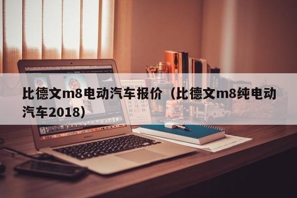 比德文m8电动汽车报价（比德文m8纯电动汽车2018）