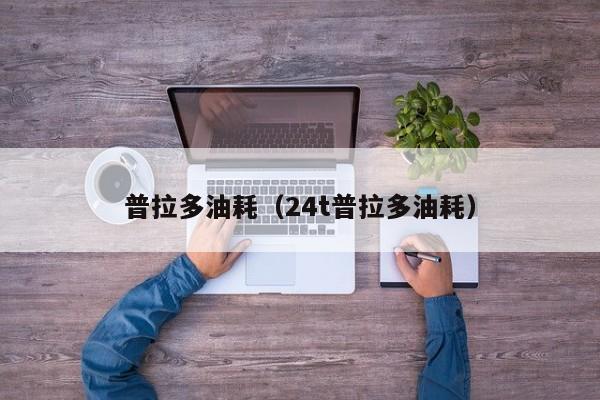 普拉多油耗（24t普拉多油耗）