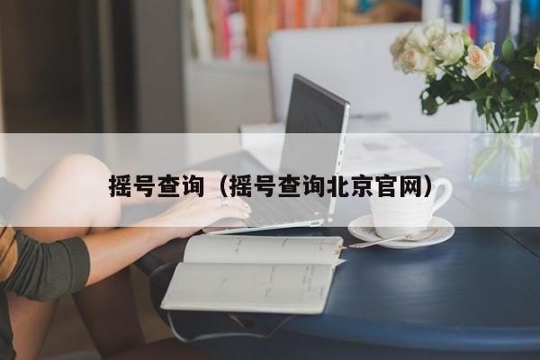 摇号查询（摇号查询北京官网）