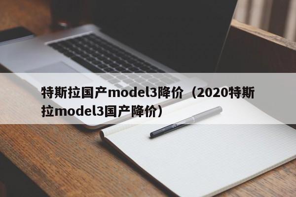 特斯拉国产model3降价（2020特斯拉model3国产降价）