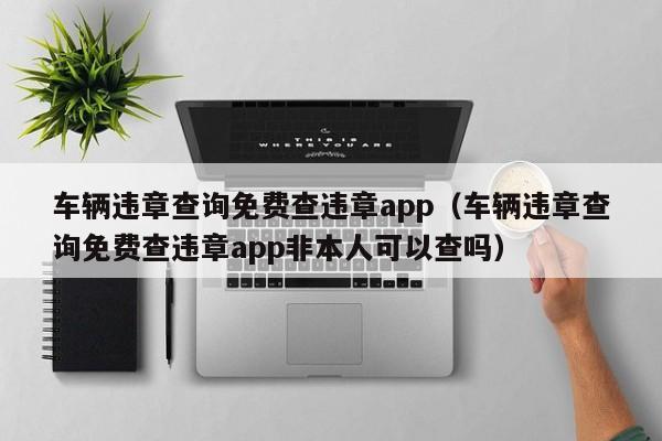车辆违章查询免费查违章app（车辆违章查询免费查违章app非本人可以查吗）