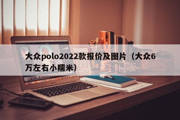 大众polo2022款报价及图片（大众6万左右小糯米）