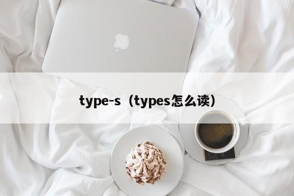 type-s（types怎么读）