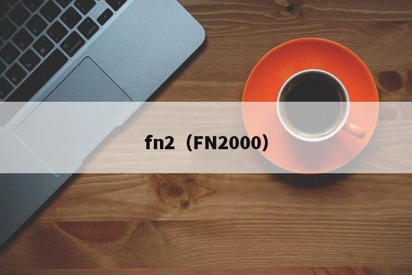 fn2（FN2000）