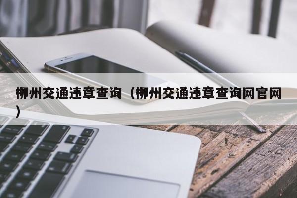 柳州交通违章查询（柳州交通违章查询网官网）
