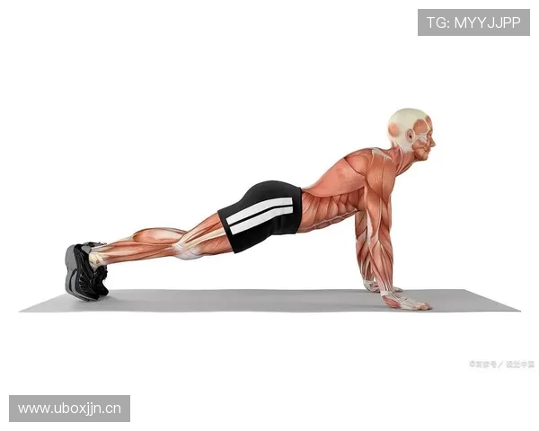 男人想练出腹肌?推荐几款核心训练器械 男人想练出腹肌?推荐几款核心训练器械