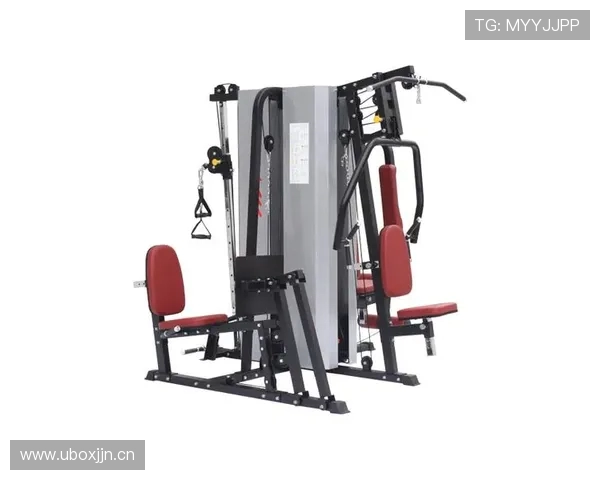 转体训练专用健身器材介绍及使用技巧 转体训练专用健身器材介绍及使用技巧