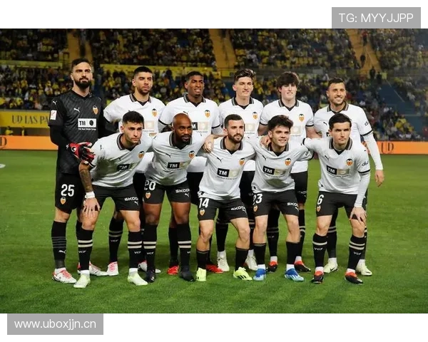 西甲联赛各球队数量与阵容对比分析