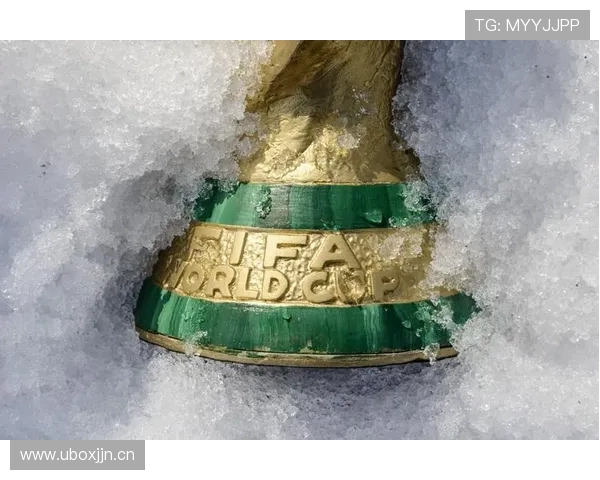 揭秘2022世界杯十大富豪财富版图与商业传奇风云故事与投资智慧